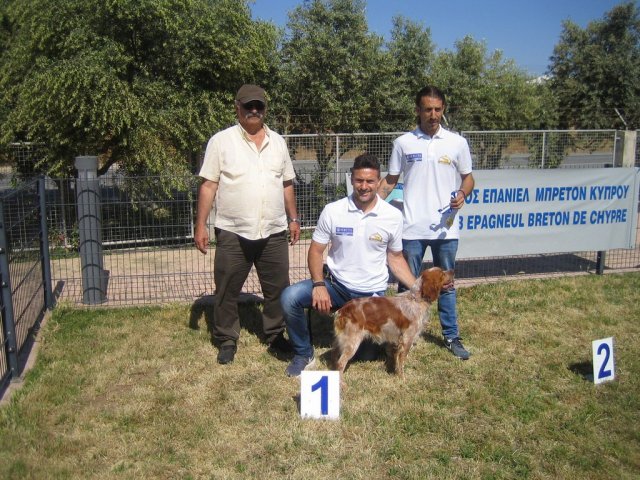 17th National Breed Show